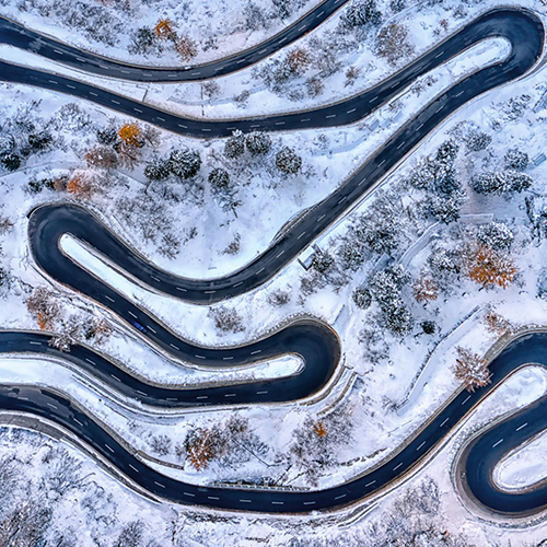 Tape worm - Photography Winner