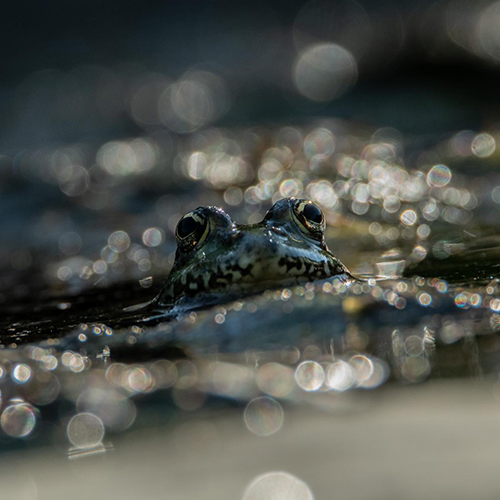Under the spotlight - Photography Winner