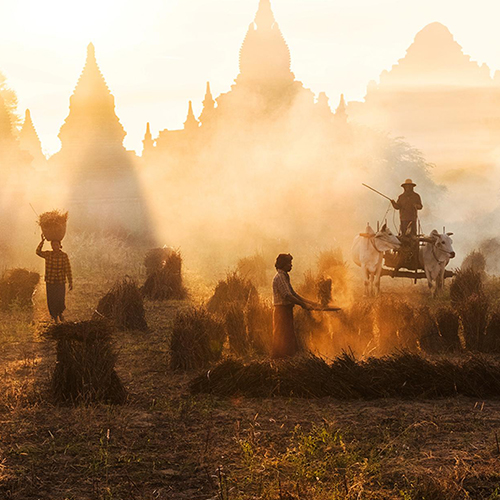 MUSE Photography Awards Gold Winner - Begins in the morning by Thura Hlaing Win