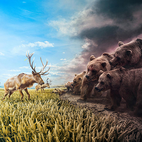 Resilience - Photography Winner