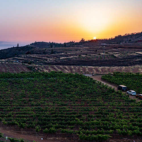 MUSE Photography Awards Silver Winner - Canary Islands at Sunset by Jason Carter