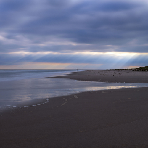 Alone - Photography Winner