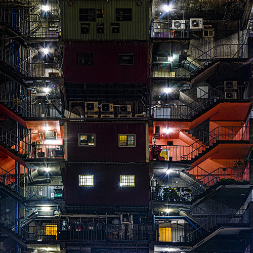 Urban Stray - Photography Winner