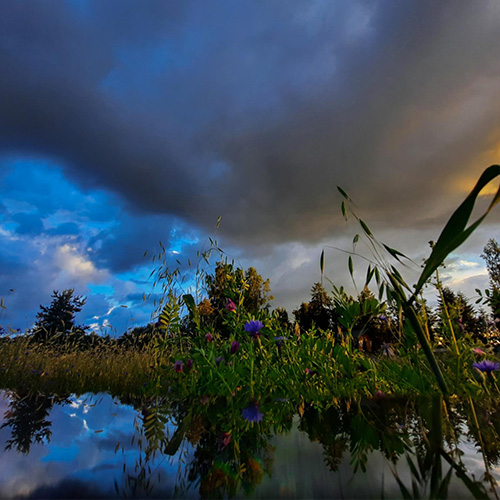 MUSE Photography Awards Silver Winner - The moment before the storm by Kristine Rudziankova