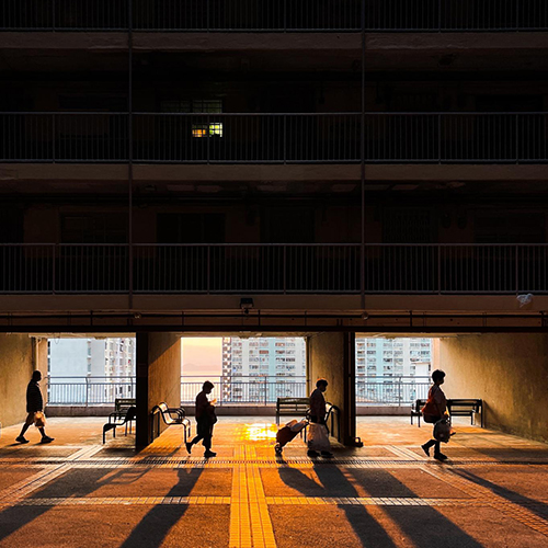 MUSE Photography Awards Gold Winner - On their way home by BAO YUEPENG