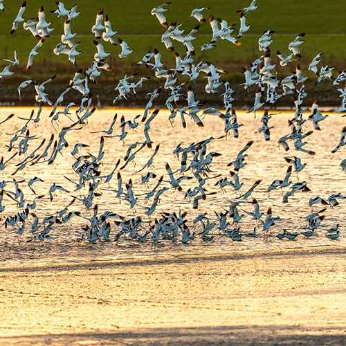 MUSE Photography Awards Gold Winner - Hurry up by Mark Tomalla MD 