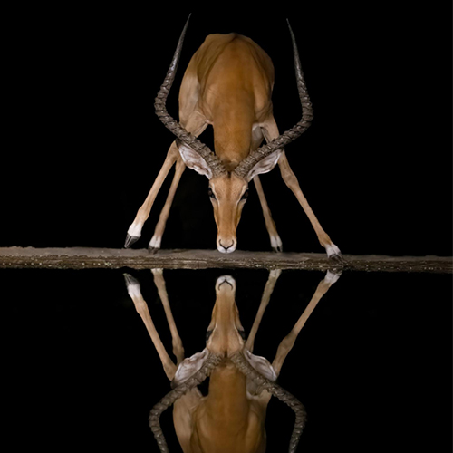 Night reflections