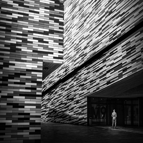 MUSE Photography Awards Gold Winner - Mestre by DAMASO AVILA