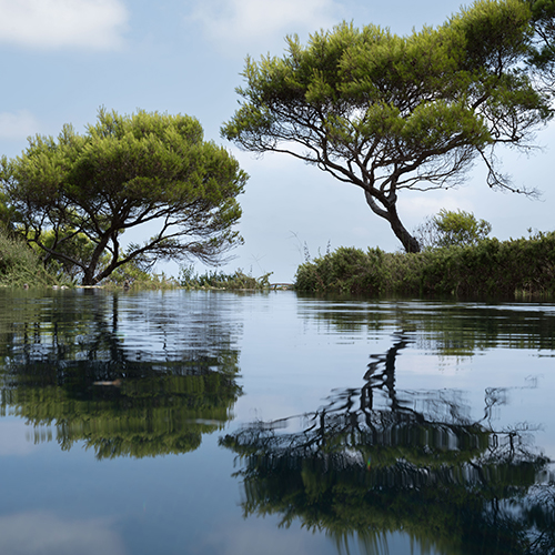 MUSE Photography Awards Silver Winner - The Mirror by Mark Tomalla