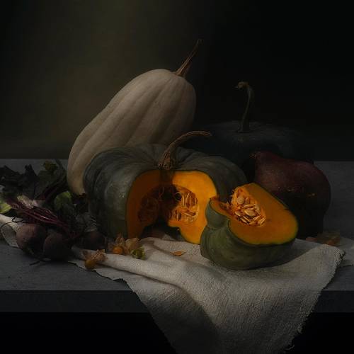 MUSE Photography Awards Silver Winner - DUTCH STILL LIFE by Ryan Dyer 