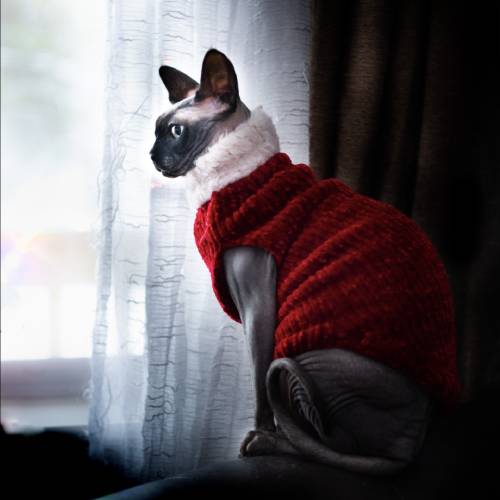 MUSE Photography Awards Silver Winner - Waiting For Santa Claus by Mirza Avdic