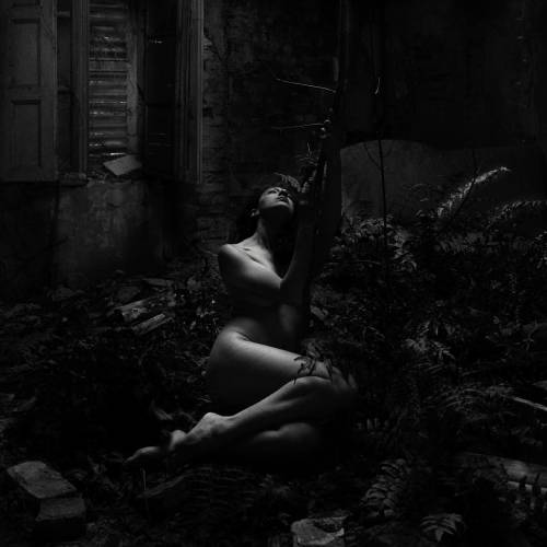 MUSE Photography Awards Gold Winner - Born again by Accossato Alessandro