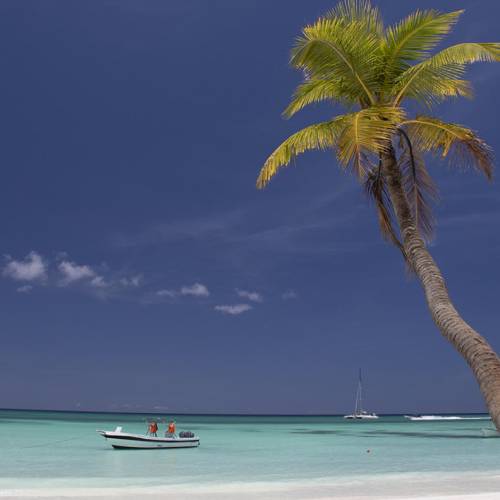Caribbean Contrast