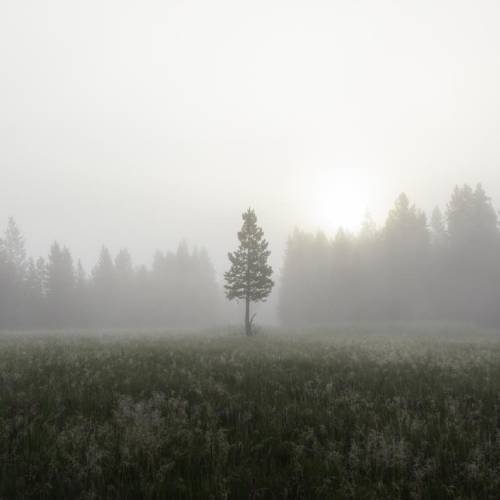 MUSE Photography Awards Silver Winner - Stand Tall by Eric Kanigan