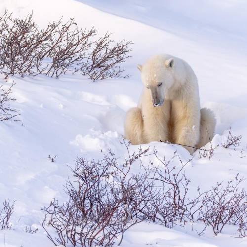 MUSE Photography Awards Gold Winner - Waiting by Rares Besliu