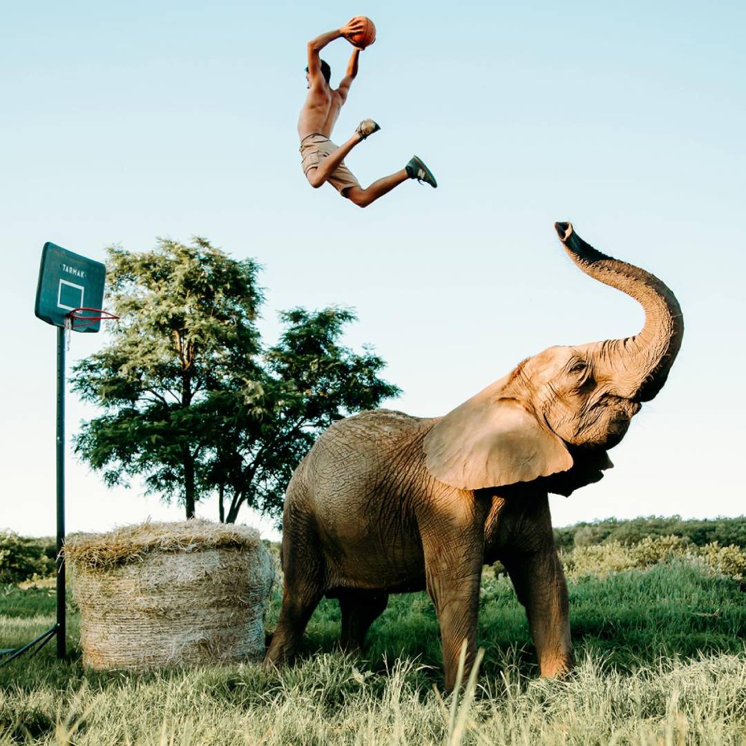 Modern Mowgli - Photography Winner