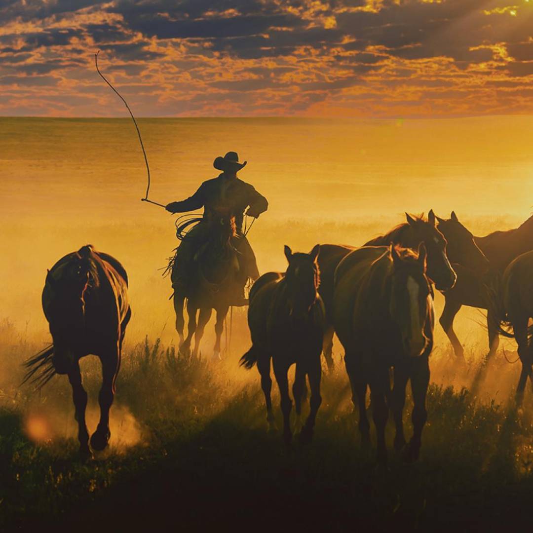 Bringing Them In - Photography Winner