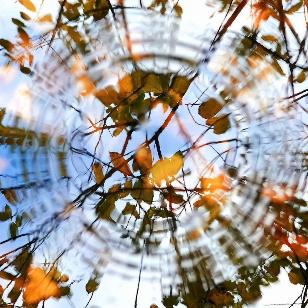 MUSE Photography Awards Silver Winner - Illusion by Thierry Lagnel