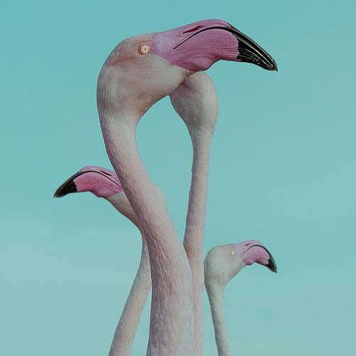 MUSE Photography Awards Gold Winner - Spring is here by Maryna Kostiukevych