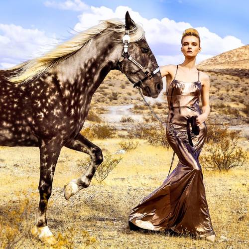 Vilena Spotted Horse