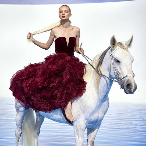 Vilena Red Rose Dress