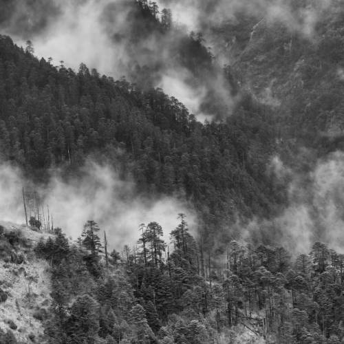 The Coast of the Himalaya