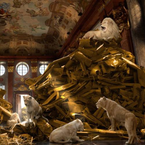 MUSE Photography Awards Silver Winner - Treasure Hunters by Cheraine Collette