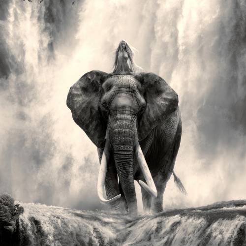MUSE Photography Awards Gold Winner - Passage To Paradise by Cheraine Collette