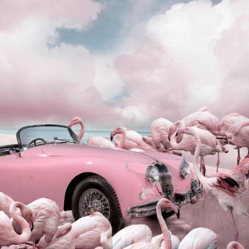 MUSE Photography Awards Silver Winner - California Dreaming by Cheraine Collette