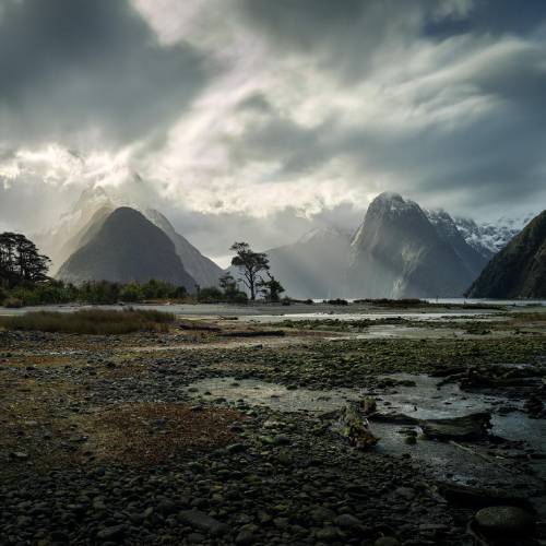 MUSE Photography Awards Gold Winner - Piopiotahi by Stephan Romer