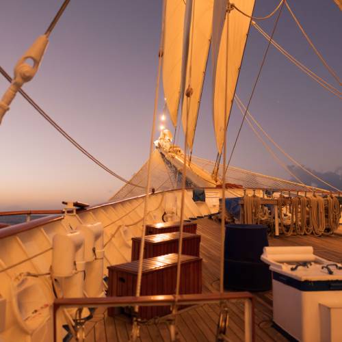 MUSE Photography Awards Silver Winner - The Cruise by Mark Tomalla