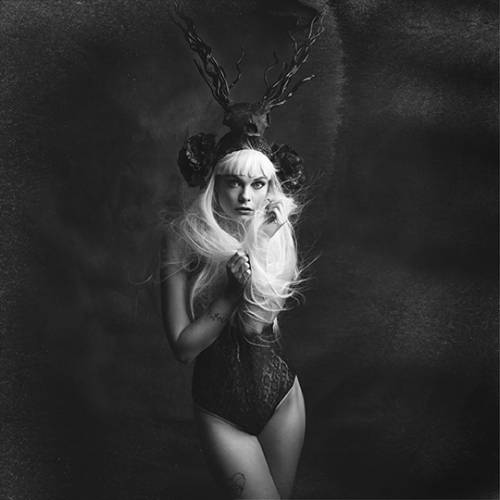 MUSE Photography Awards Silver Winner - Ruler of the Wildlands by Isabelle JARAVEL