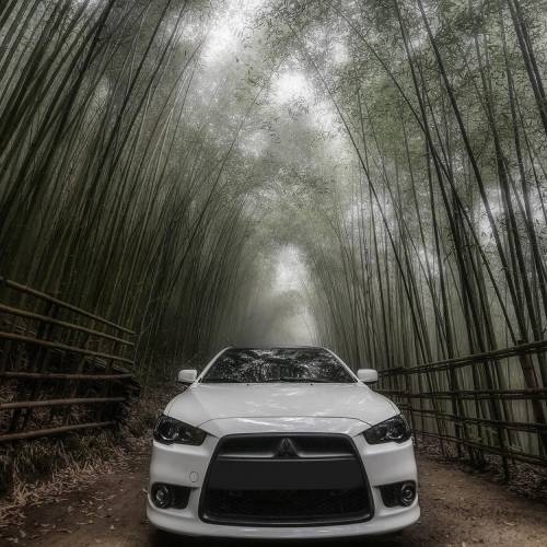 MUSE Photography Awards Silver Winner - The Elusive EVO by Didi Hsu