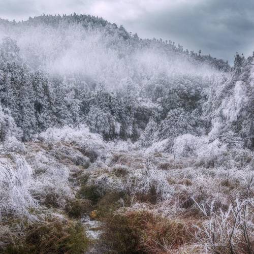 MUSE Photography Awards Gold Winner - Siyuan Pass by Didi Hsu