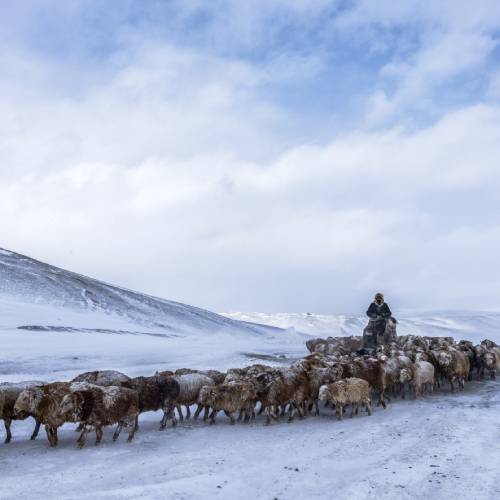 MUSE Photography Awards Silver Winner - WINTER MIGRATION by SANGHAMITRA SARKAR