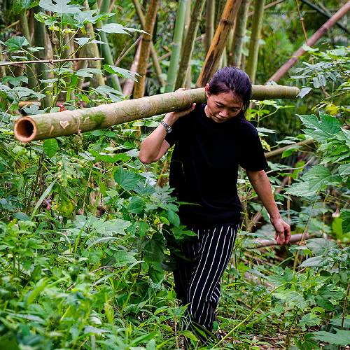 bamboo artist