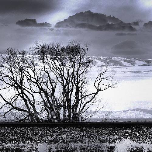 Solitary