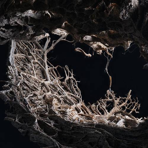 Inner Mirrors: The Microcosm Reveals the Spiritual Crisis - Photography Winner