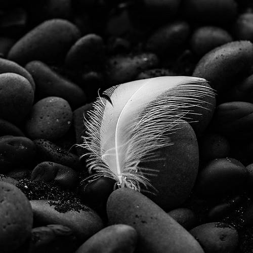 Serenity - Photography Winner