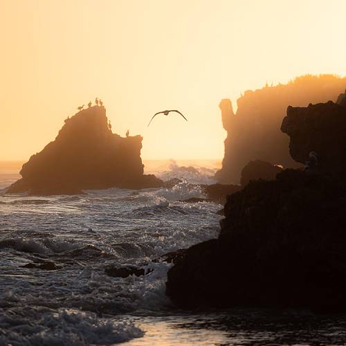 MUSE Photography Awards Silver Winner - Wings at Sunset by Willy Joseph-Louis