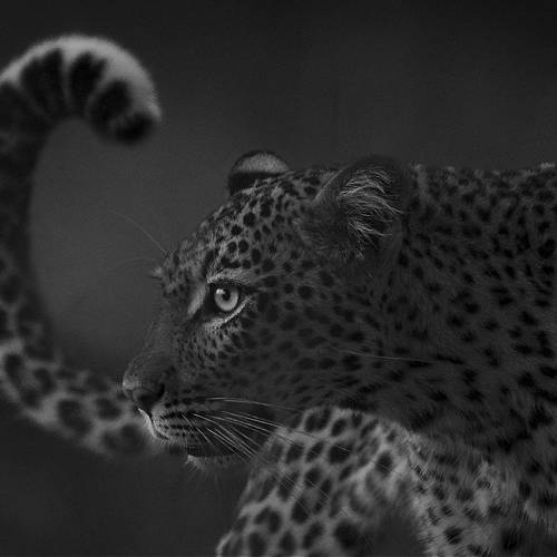 MUSE Photography Awards Gold Winner - Dawn Challenge by Elizabeth Storms