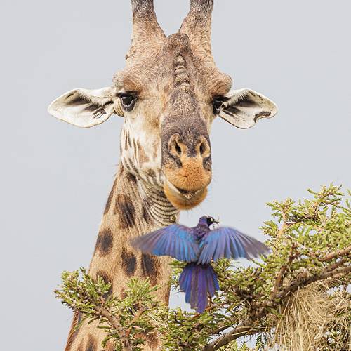 What Are You Doing Here?  - Photography Winner