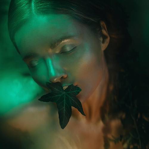 MUSE Photography Awards Category Winners of the Year Winner - Mother nature by Sonka Skerik