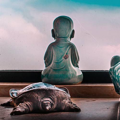 One Buddha, Two Buddha, Broken Buddha