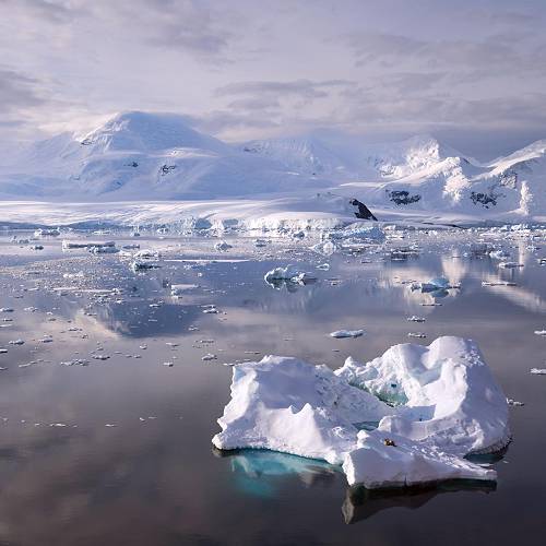 Cold Feeling - Photography Winner