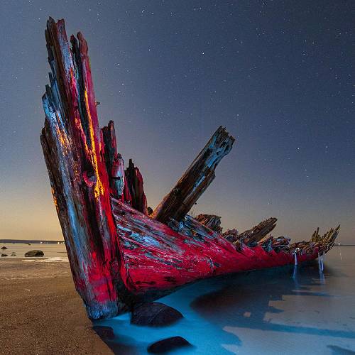 MUSE Photography Awards Gold Winner - Arrival by Andres Papp