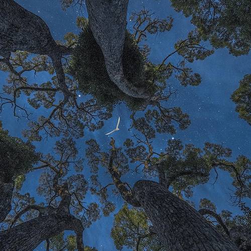 Islands In The Sky - Photography Winner