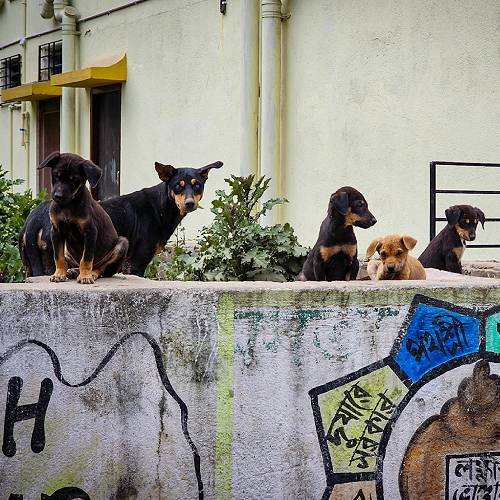 MUSE Photography Awards Gold Winner - Homelessness by Bodhisatta Maiti