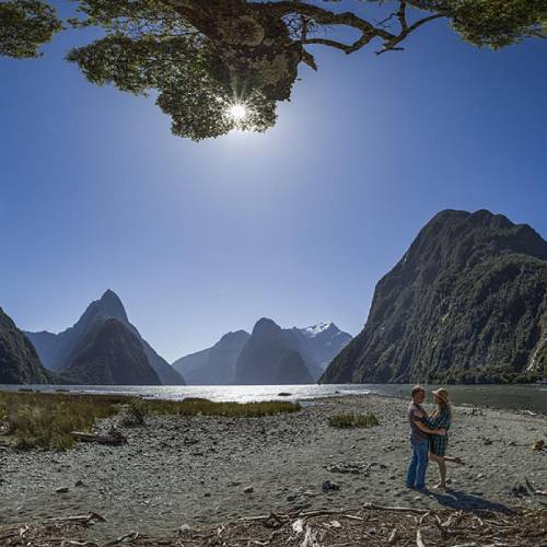 Milford Sound Sunshine