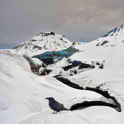 Award-winning photograph Little Bird by Anne neiwand, 2026 MUSE Photography Awards Gold Winner